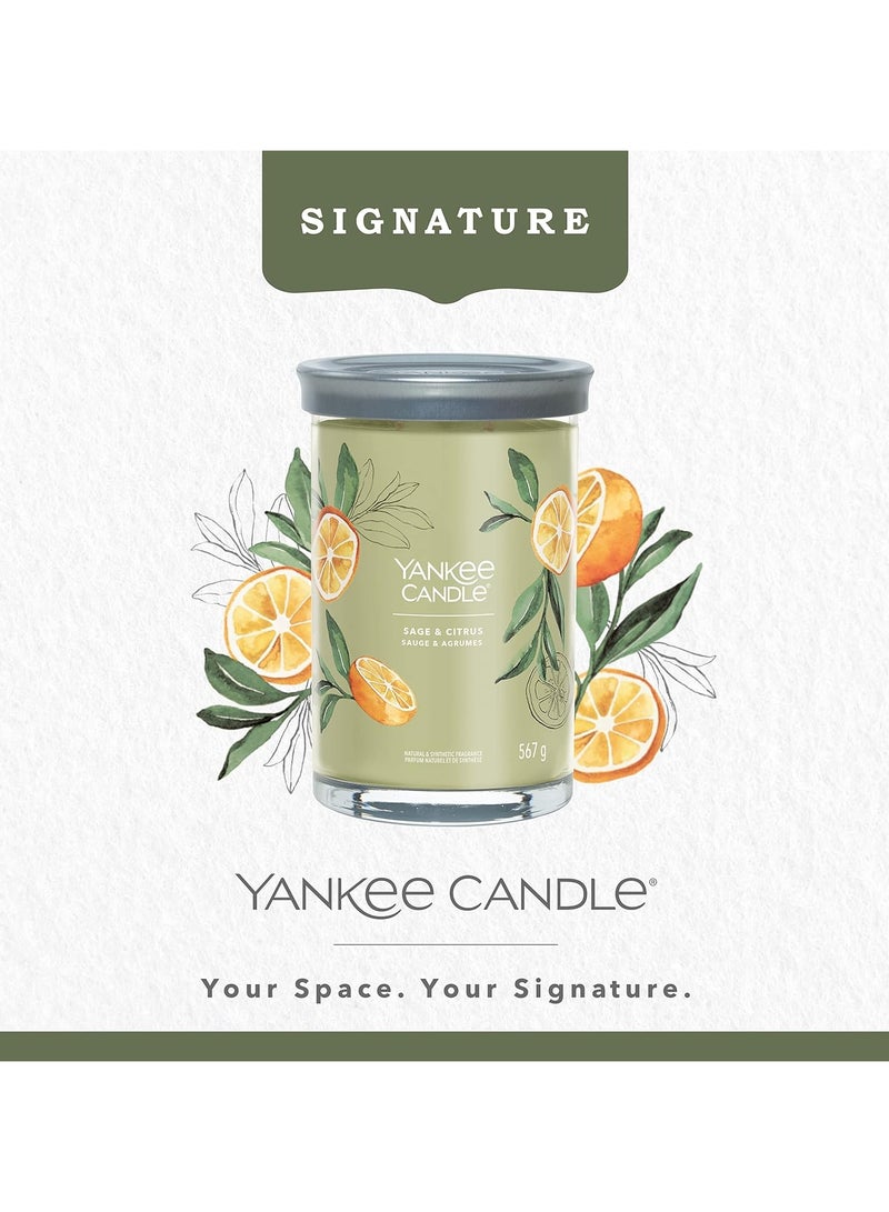 YANKEE CANDLE Sage & Citrus Scented Candle