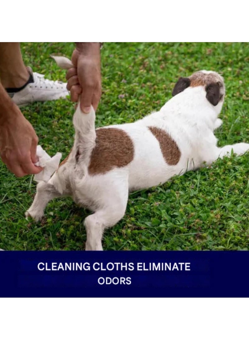 Pet Clean Lavender Chamomile Tushy Wipes