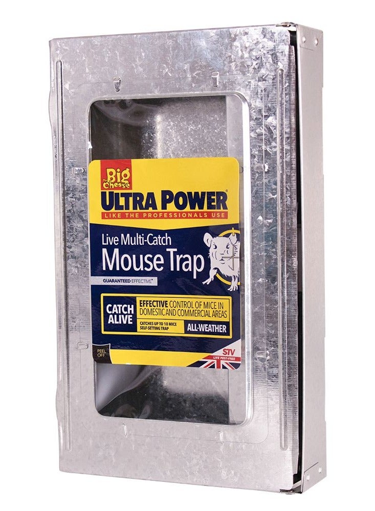 Big Cheese Live Multicatch Mouse Trap