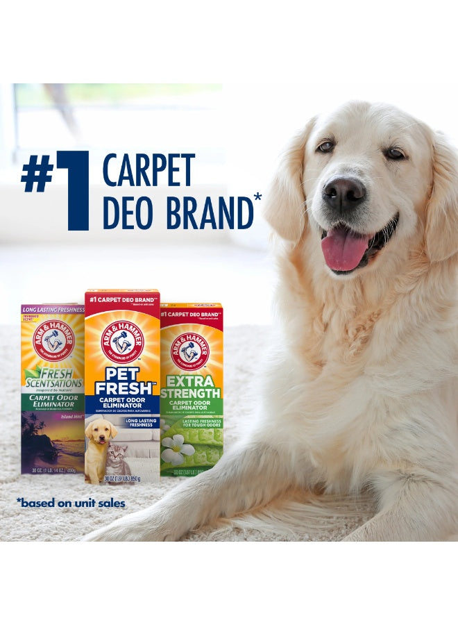 arm & hammer, carpet odor, carpet odor eliminator, cats fresh, cats fresh scent, deep cleaning, fresh carpet, fresh carpet odor, fresh scent, let dry, let sit, odor eliminator, pet fresh, pet fresh carpet, pet hair