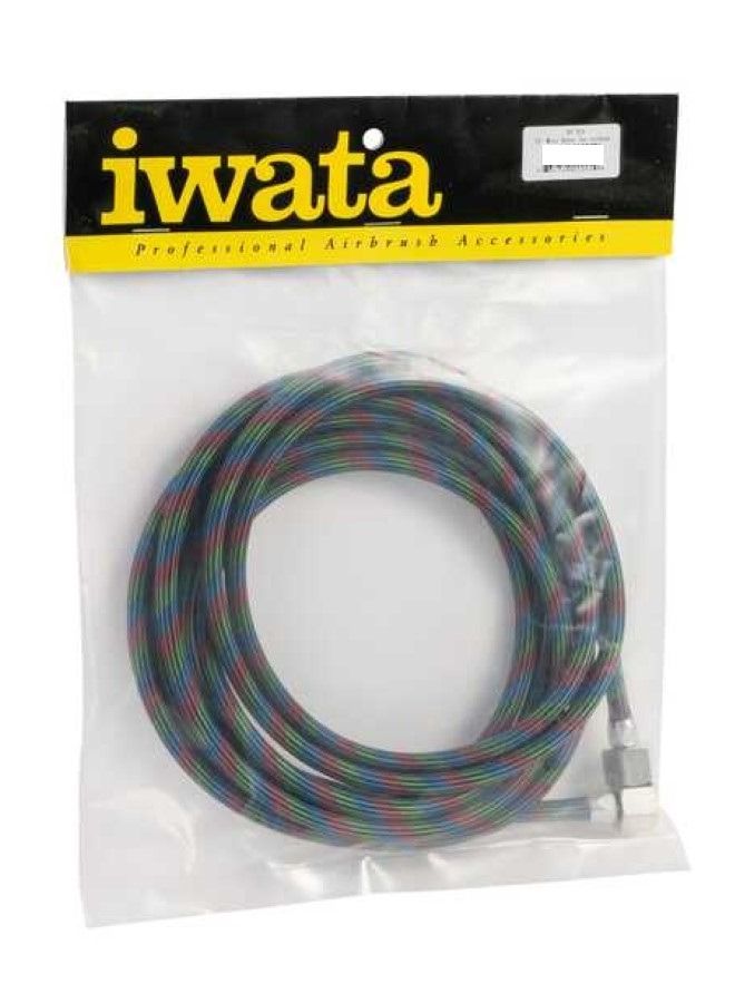 Iwata 10' Braided Nylon Air Hose