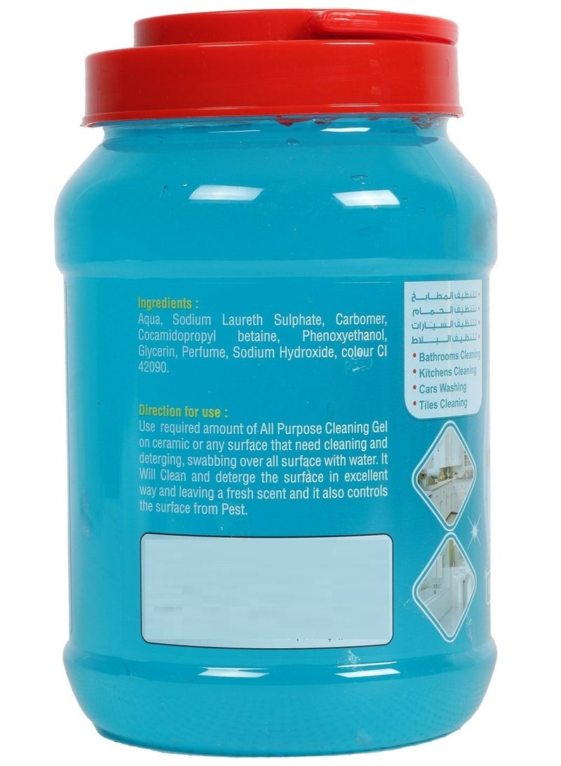 Home Mate Ocean Breeze Cleaning Gel 1 Kg