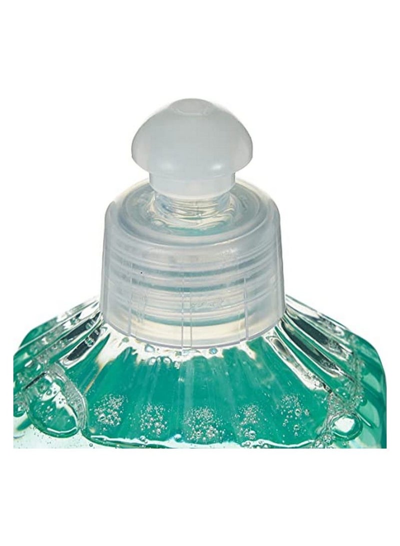 Earth Choice Dish Wash Liquid, Aloe Fresh - 1 Litre