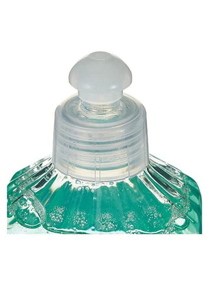 Earth Choice Dish Wash Liquid, Aloe Fresh - 1 Litre