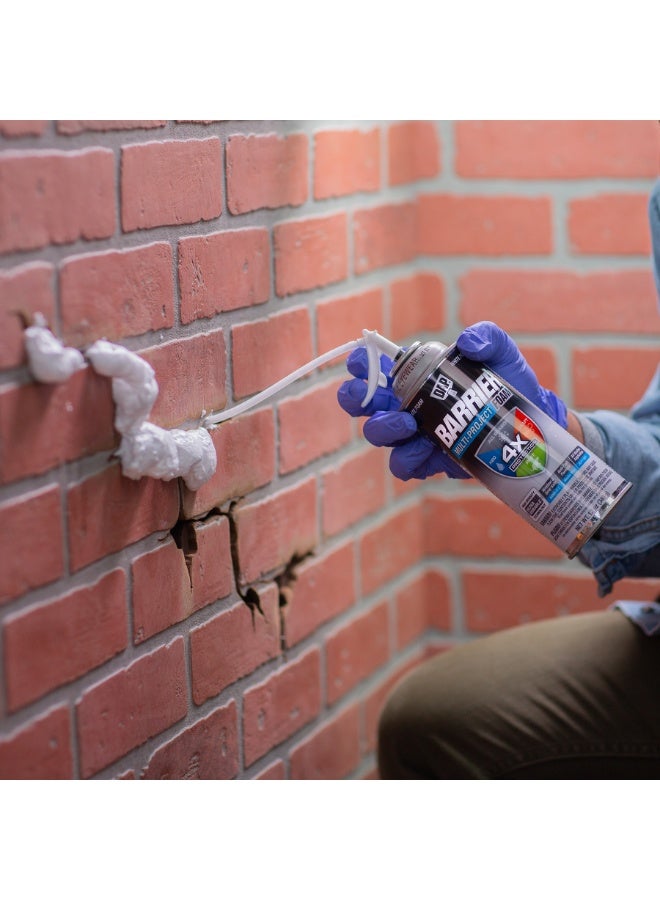 DAP Barrier Multi Project Foam Sealant 340 G