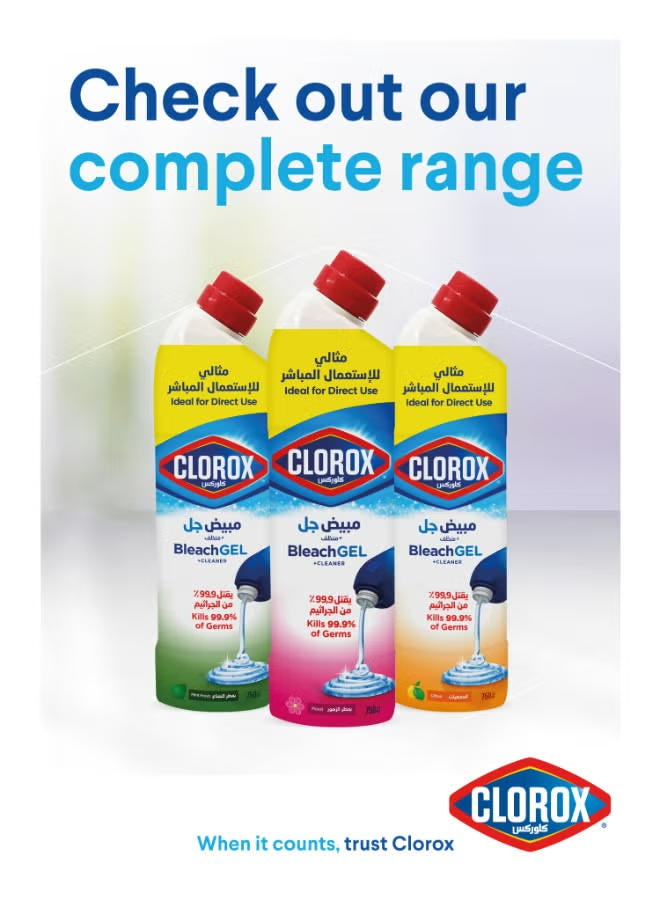 air dry, bleach gel, bleach gel cleaner, cleaner kills, clorox, floral magic, floral magic bleach, gel cleaner, gel cleaner kills, germs 750ml, hard non, magic bleach, magic bleach gel, one cup, stain removal