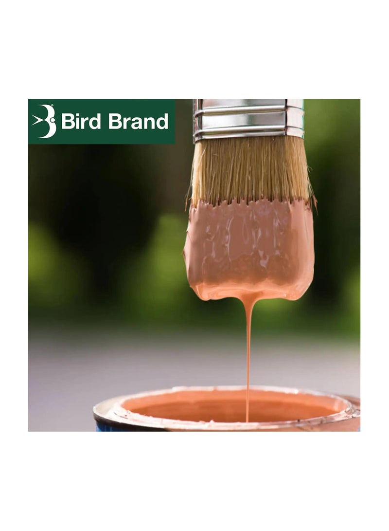 Bird Brand Premium Low Odour White Spirit 750 ML