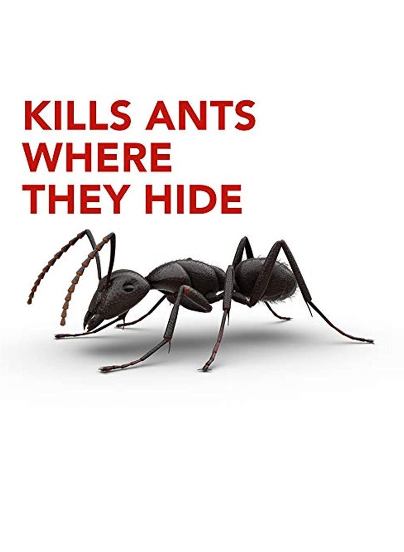 Raid Ant Killer Baits - Effective Pest Control