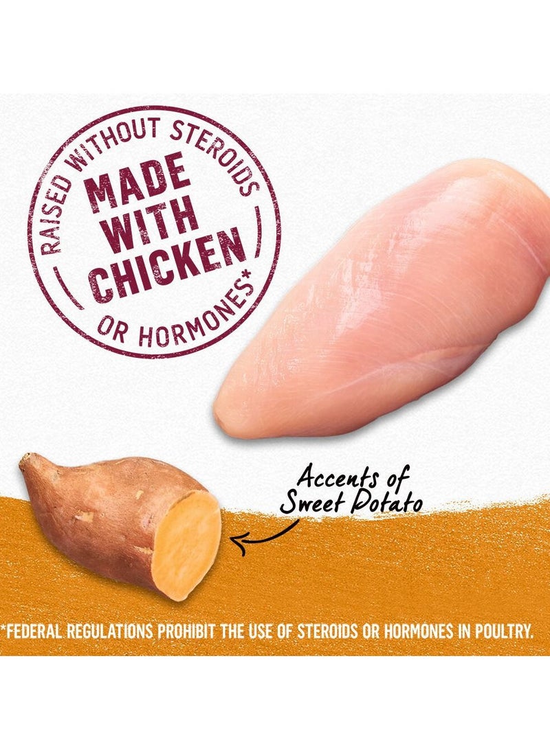 PURINA Beyond Chicken & Sweet Potato Wet Dog Food 354g