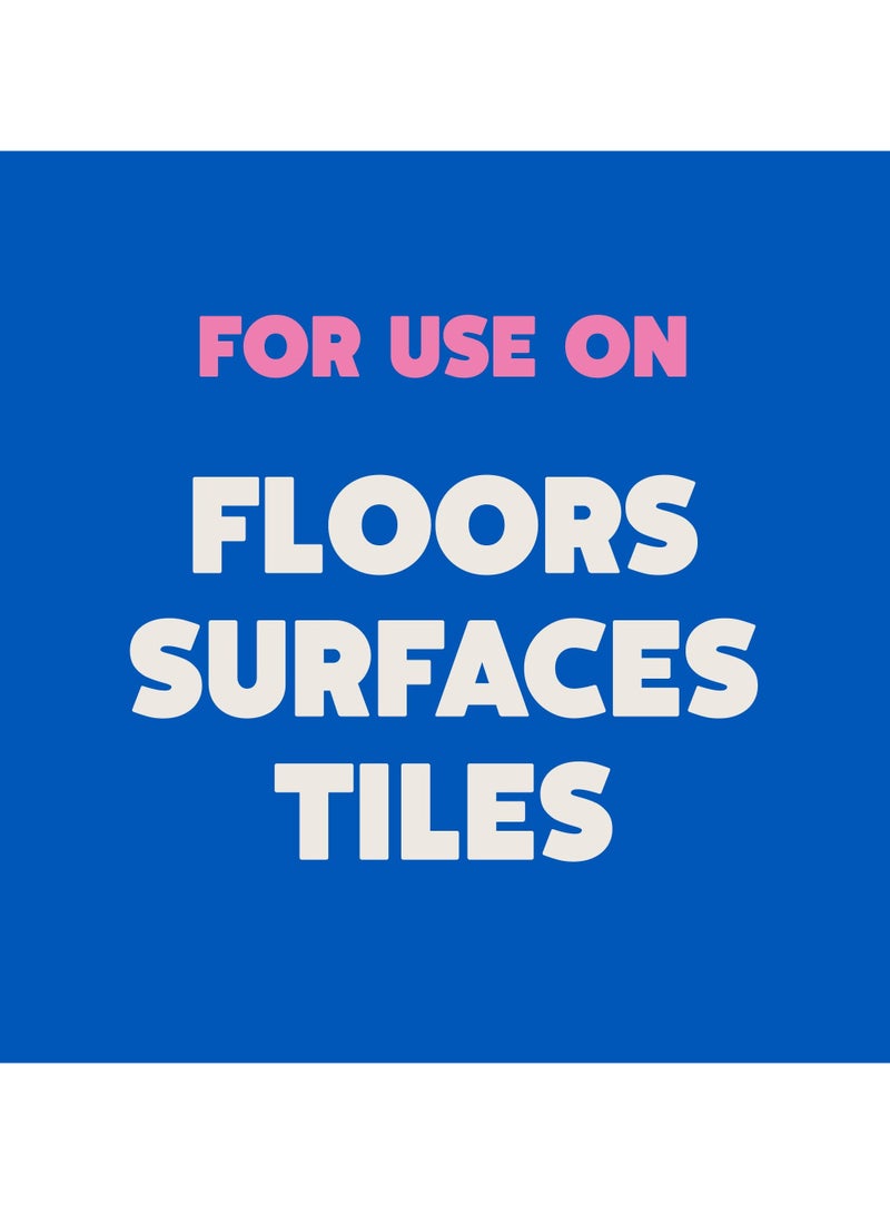 Ecover Floor Soap for Porous Surfaces 1L
