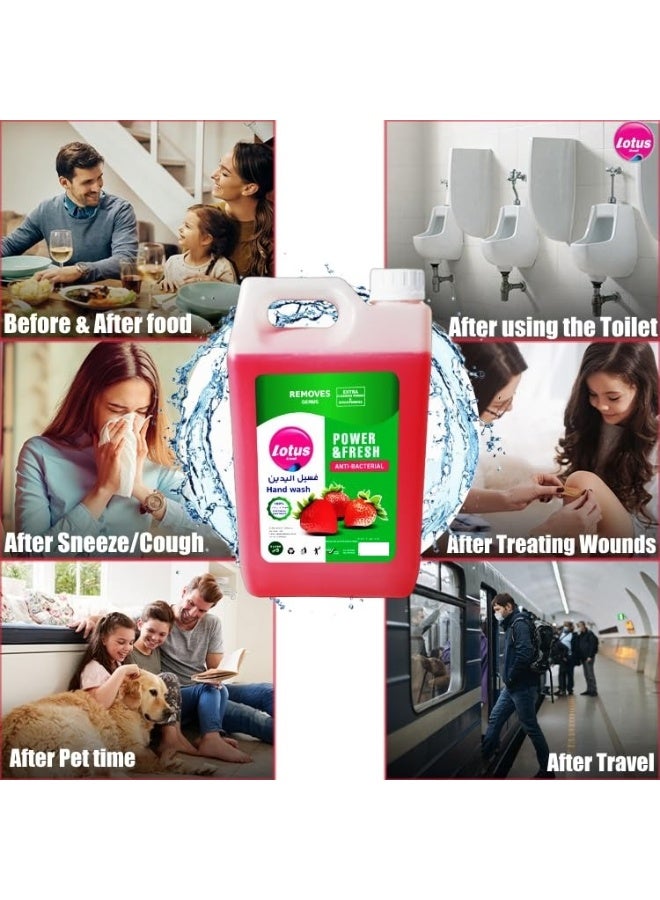 Lotus Antibacterial Hand Wash Strawberry Fragrance 5L
