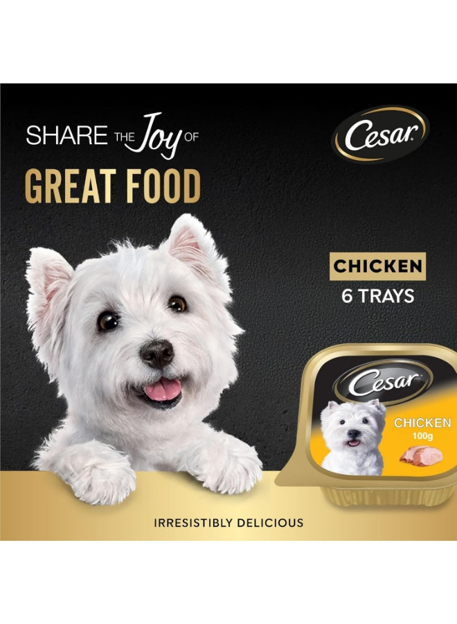 balanced dog, balanced dog nutrition, cesar, chicken dog, chicken dog wet, complete balanced, complete balanced dog, dog nutrition, dog wet, dog wet food, food complete, food complete balanced, wet dog, wet food, wet food complete