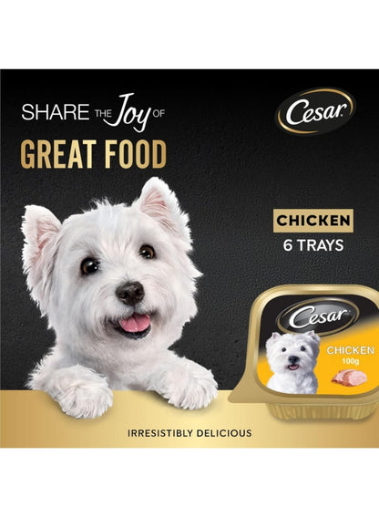 balanced dog, balanced dog nutrition, cesar, chicken dog, chicken dog wet, complete balanced, complete balanced dog, dog nutrition, dog wet, dog wet food, food complete, food complete balanced, wet dog, wet food, wet food complete