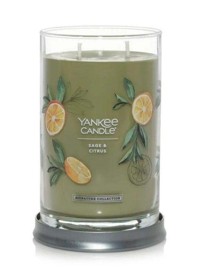 YANKEE CANDLE Sage And Citrus Tumbler Candle