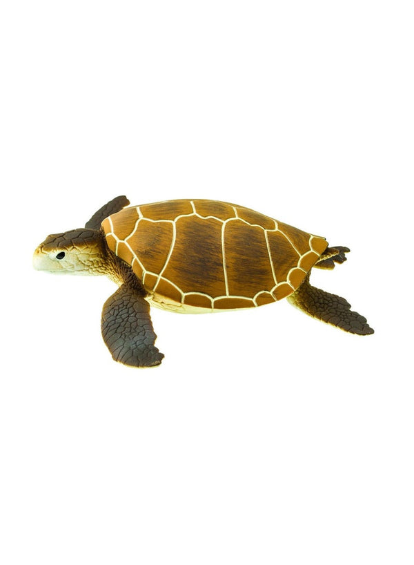 Safari Ltd Green Sea Turtle 4 Inch Figurine
