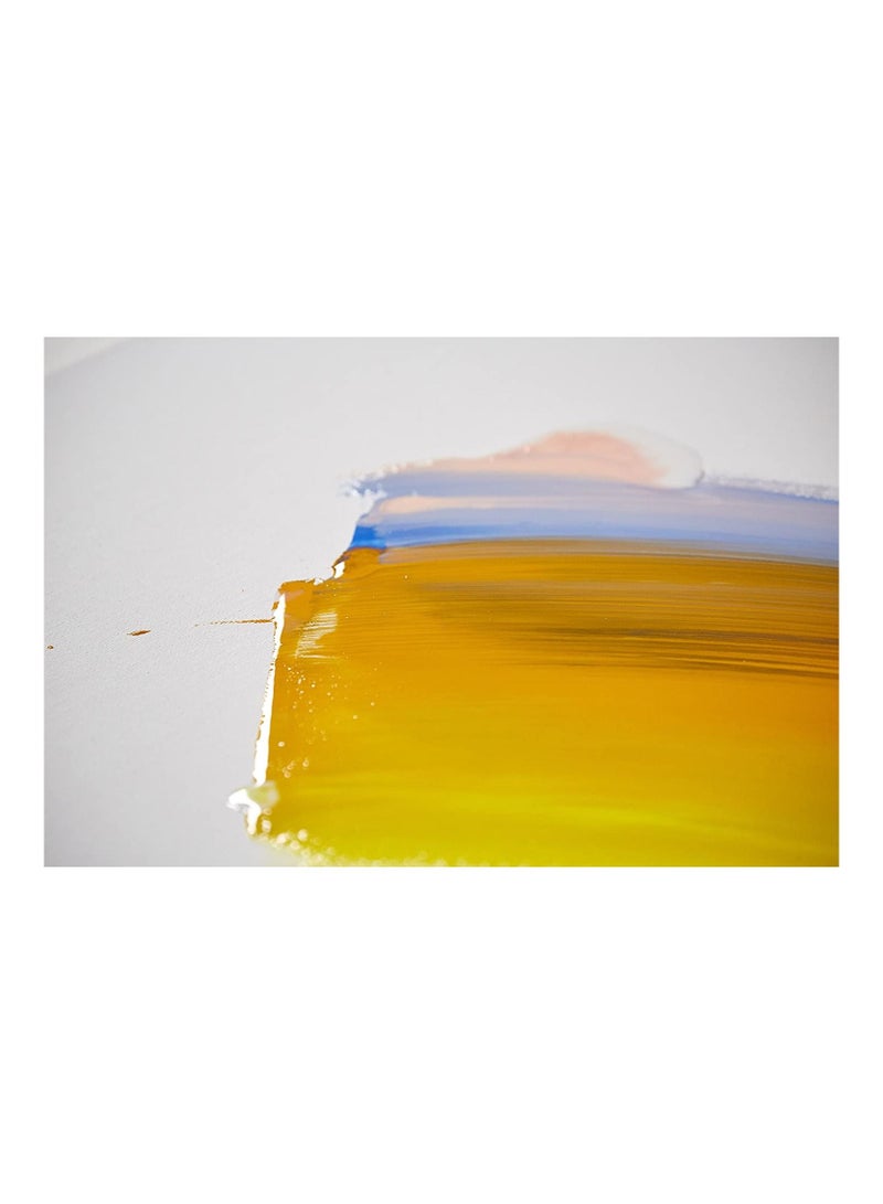 Liquitex Professional Slow-Dri Medium 473 ML