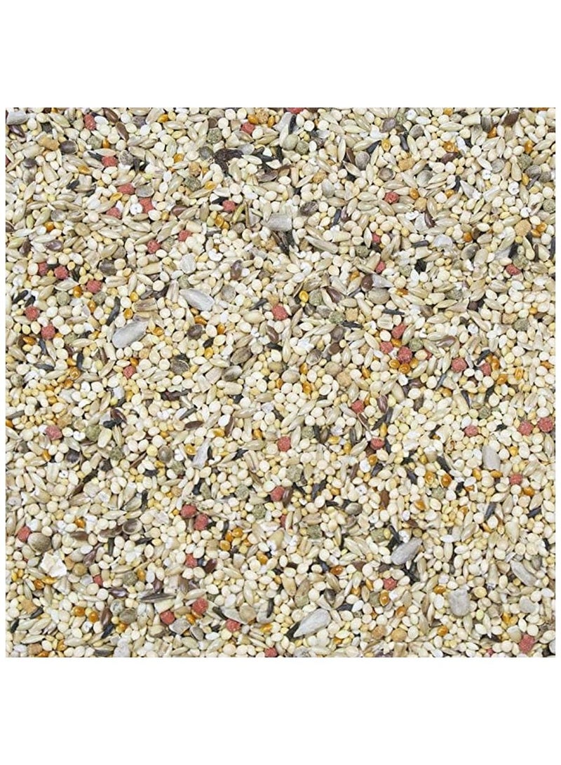 HigginS Vita Seed Finch Dry Food 2 Lb