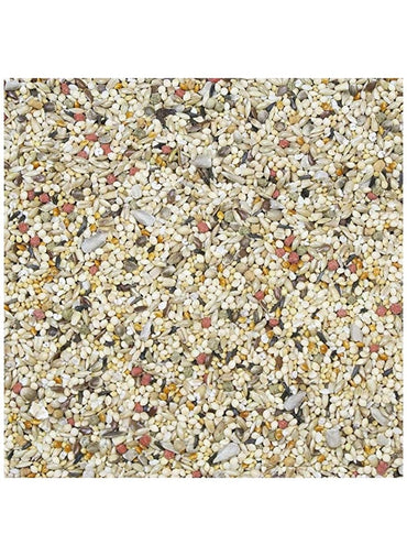 HigginS Vita Seed Finch Dry Food 2 Lb