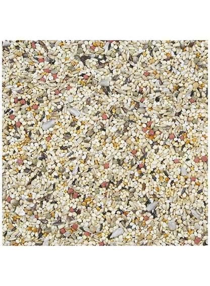 HigginS Vita Seed Finch Dry Food 2 Lb