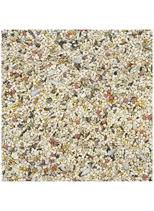 HigginS Vita Seed Finch Dry Food 2 Lb