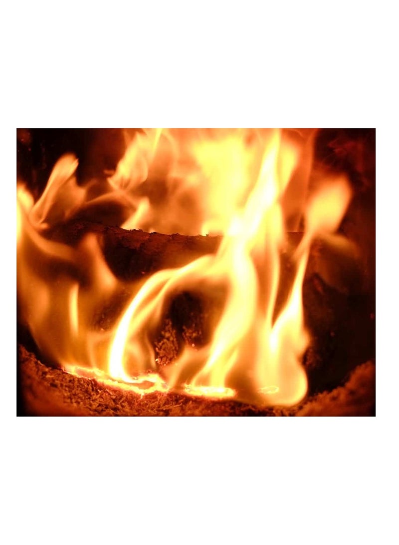 BLAZE Long Burn Logs - Premium Firewood for Your Home