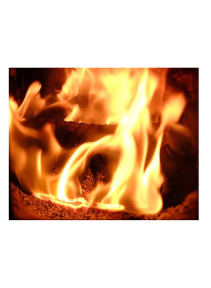 BLAZE Long Burn Logs - Premium Firewood for Your Home