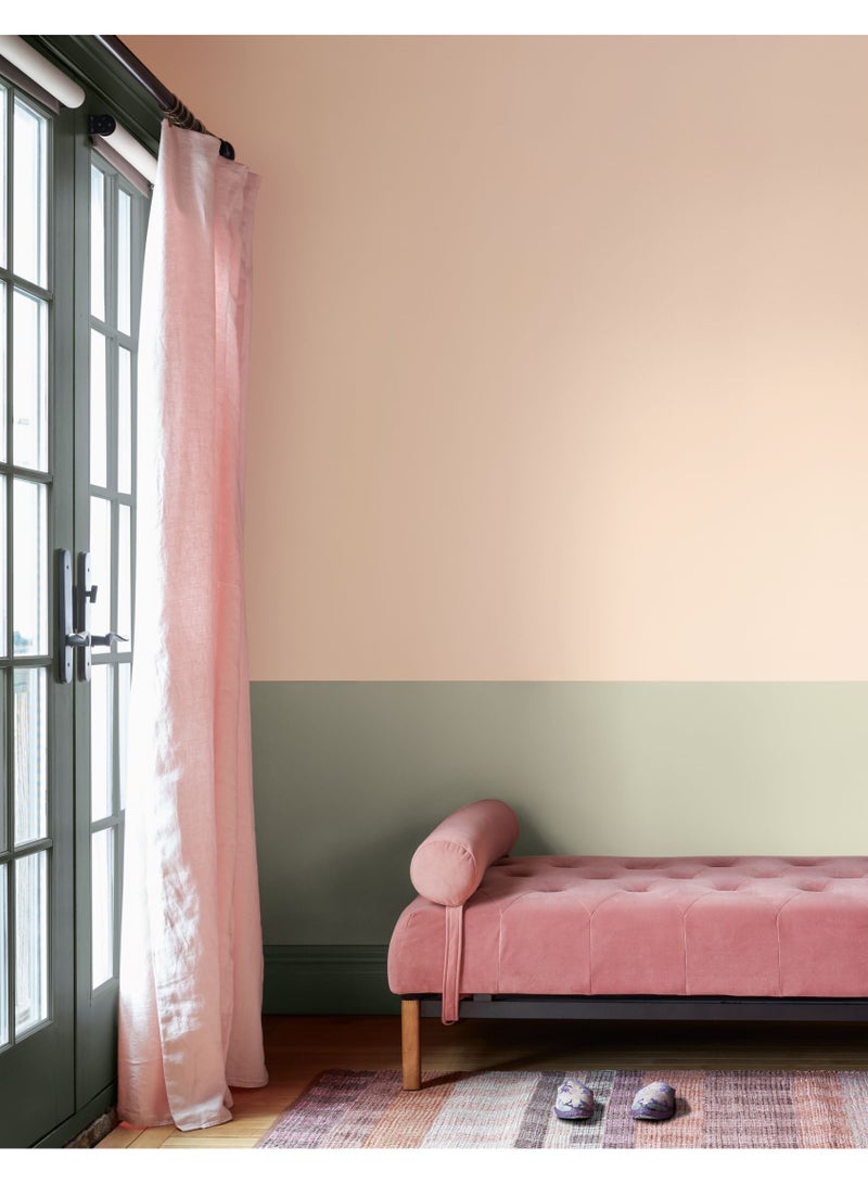 Benjamin Moore Regal Select Interior Paint