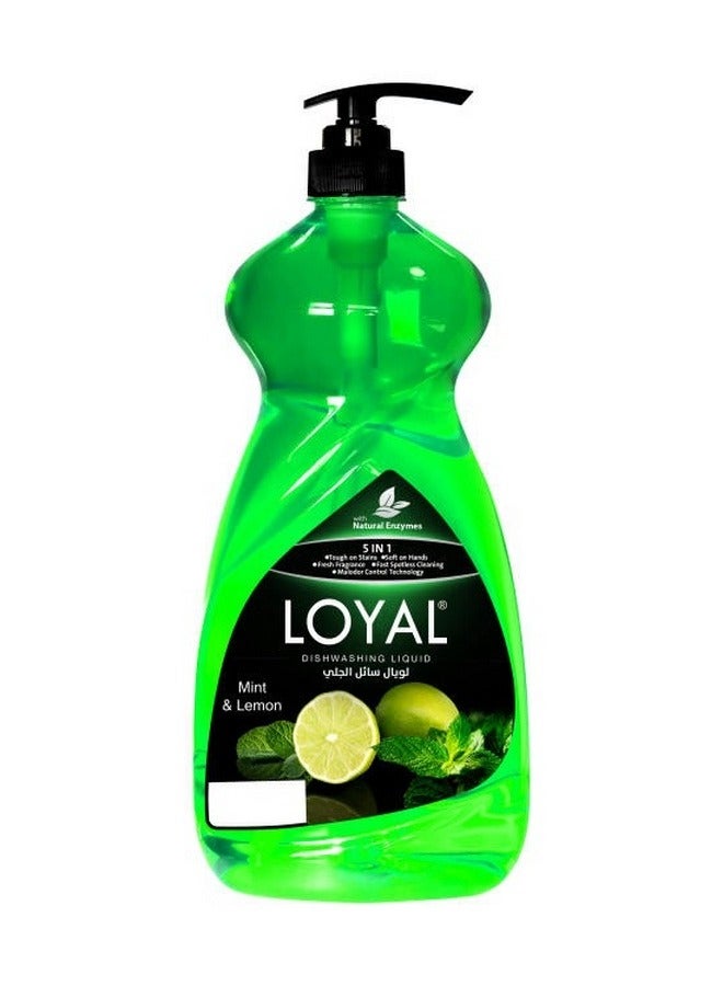 Loyal 5 in 1 Dishwashing Liquid with Mint & Lemon
