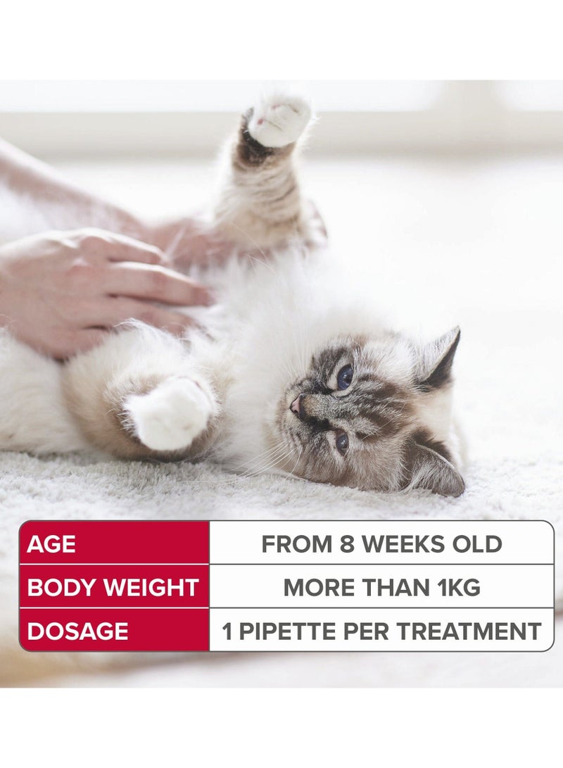 Beaphar Spot-On For Cats 50 Mg