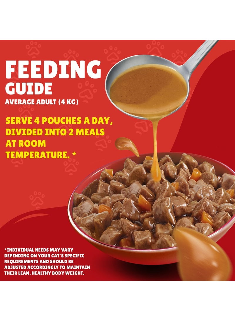PURINA Friskies Turkey Chunks in Gravy Wet Cat Food