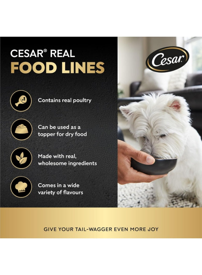 balanced dog, balanced dog nutrition, cesar, chicken dog, chicken dog wet, complete balanced, complete balanced dog, dog nutrition, dog wet, dog wet food, food complete, food complete balanced, wet dog, wet food, wet food complete