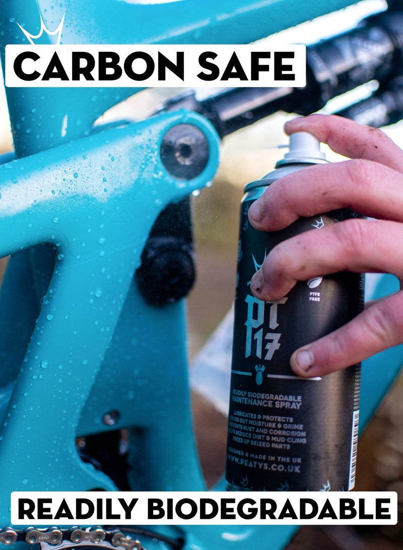 PEATY'S Pt17 General Maintenance Spray