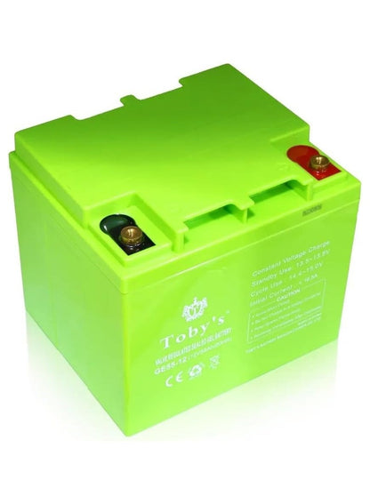 Premium 55000mAh Power Battery with Inverter - Toby'S