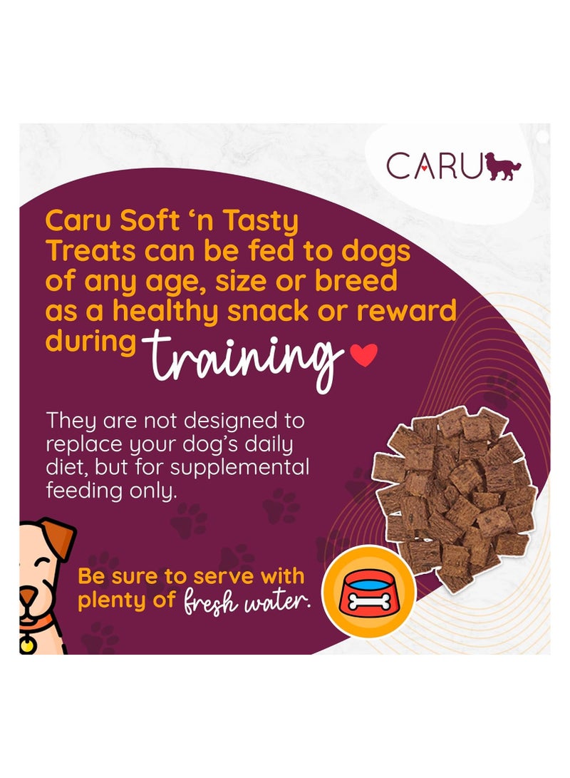 CARU Soft N’ Tasty Dog Treats - Beef Recipe