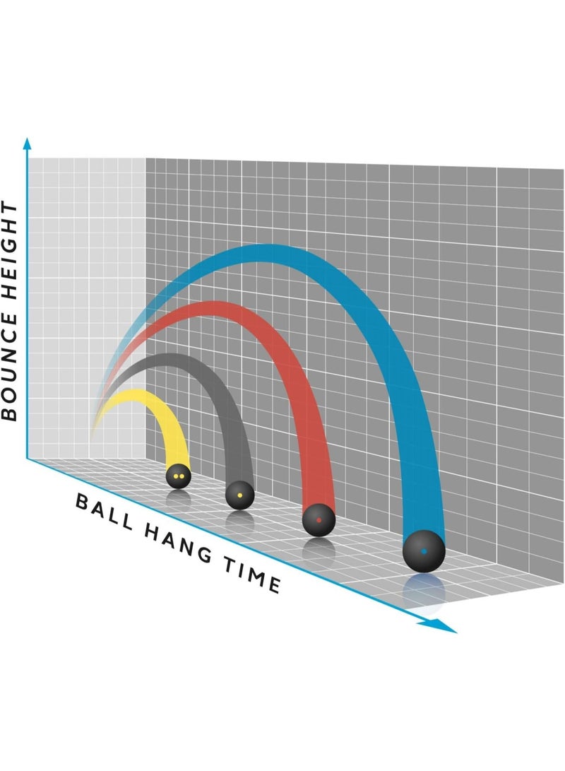 DUNLOP Intro Single Dot Squash Ball for Beginners