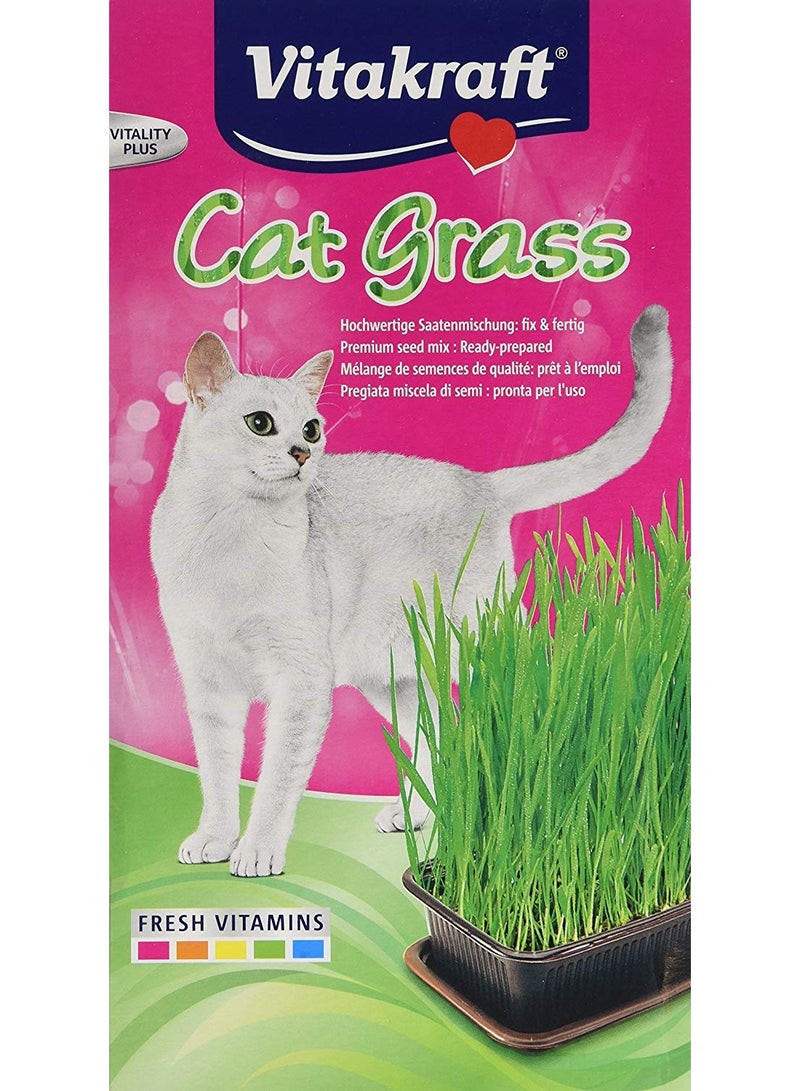 Vitakraft Cat Grass for Healthy Digestion