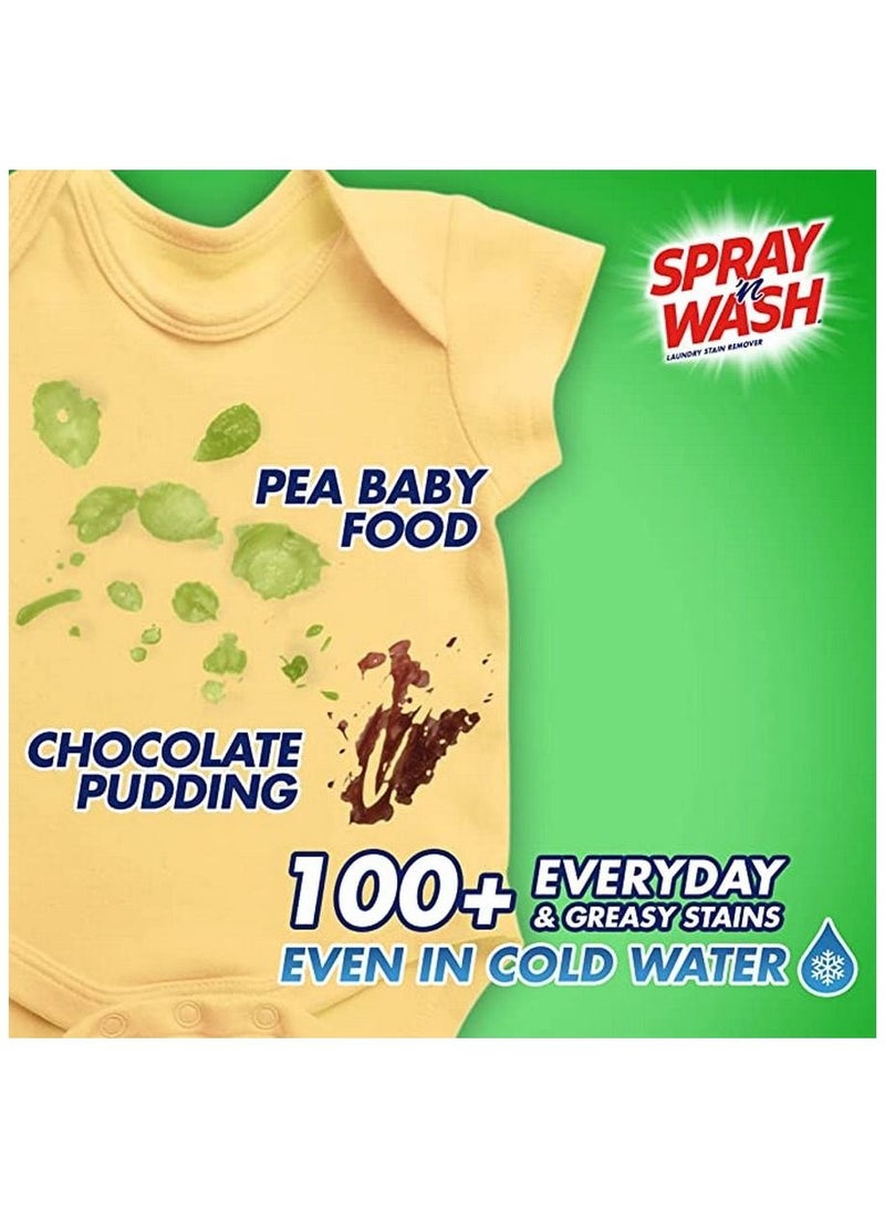 Spray'N Wash Pre-Treat Stain Remover 650 ml