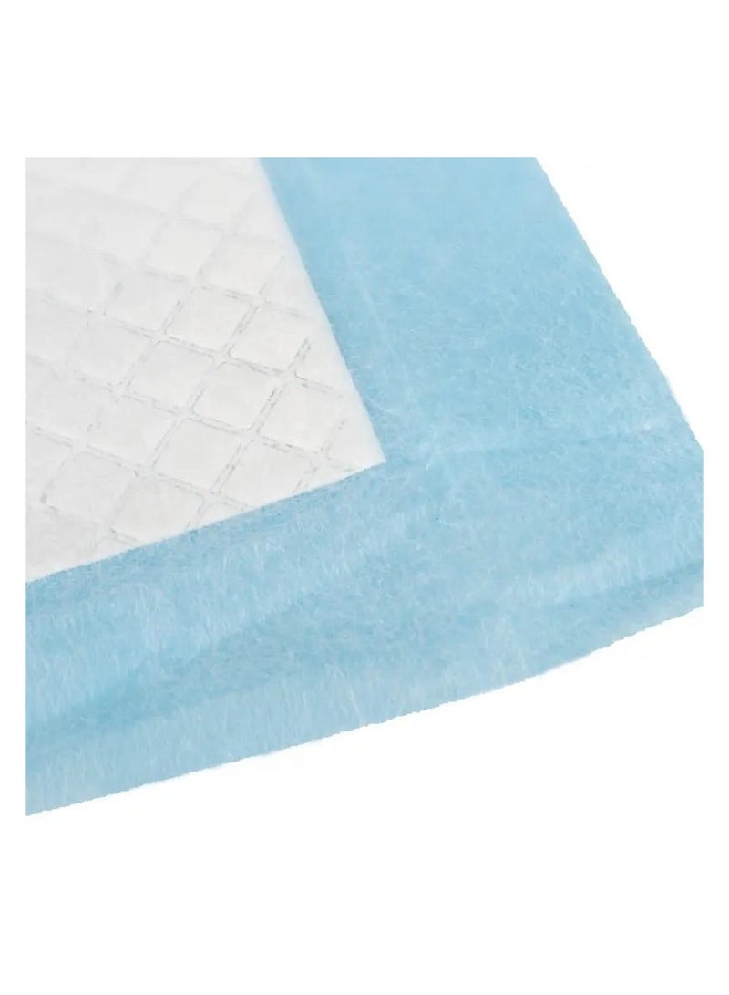 Premium Diaper Training Pads Large - Oem