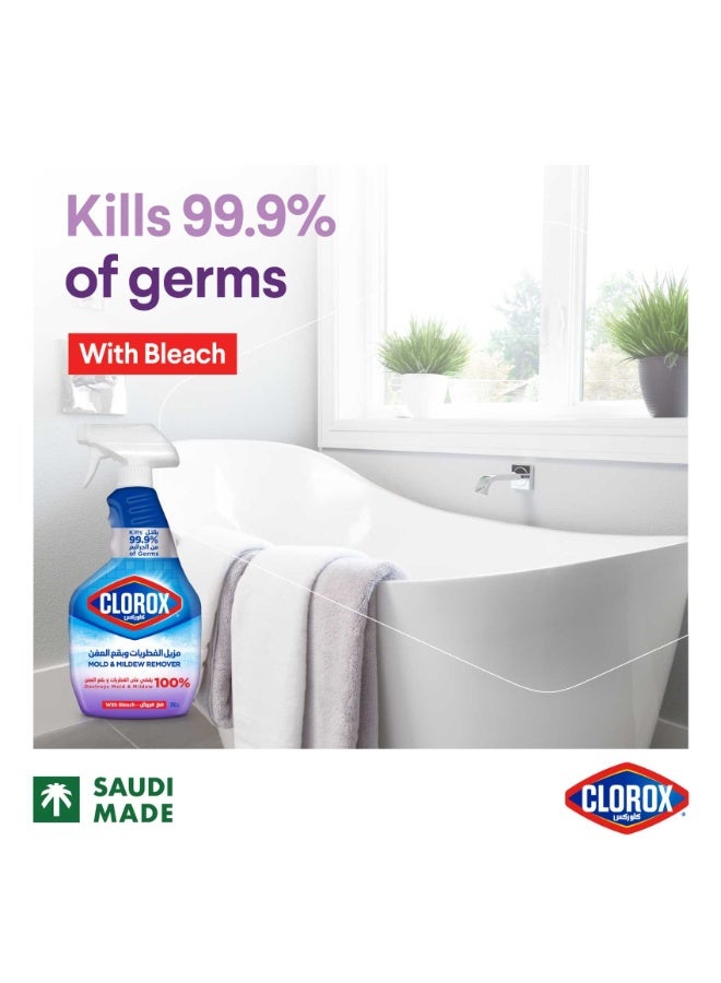 Clorox Mold & Mildew Remover 750 ML
