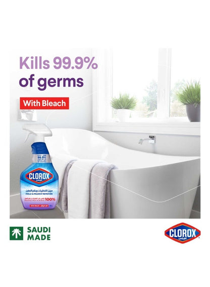 Clorox Mold & Mildew Remover 750 ML