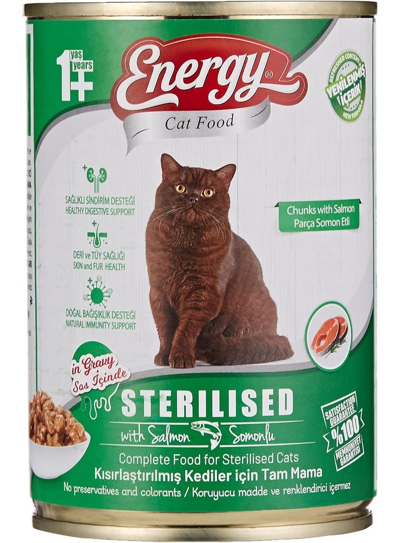 Energy Wet Cat Food with Salmon Chunks 400 Gms