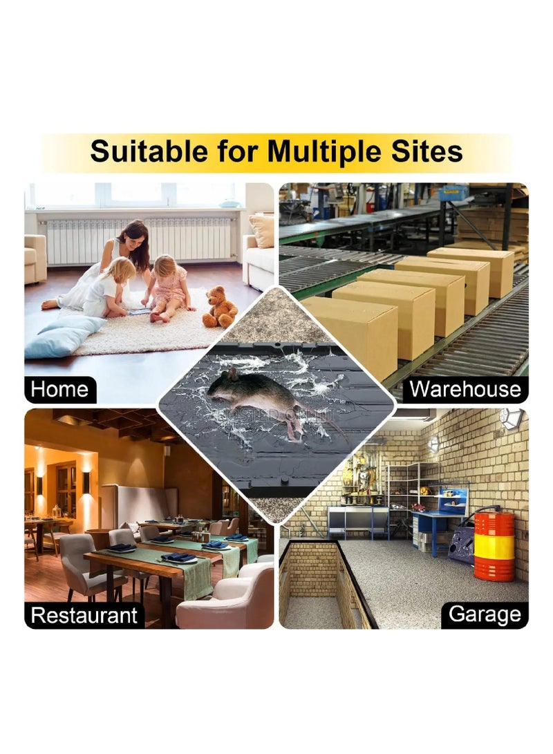Large Glue Traps for Pests 2pcs Pack - EXPERT Catch