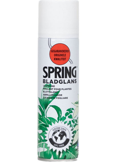 Premium Leaf Shine Spray 250ML - SPRING