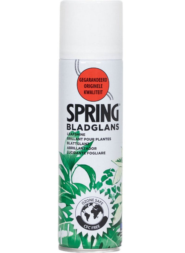 Premium Leaf Shine Spray 250ML - SPRING