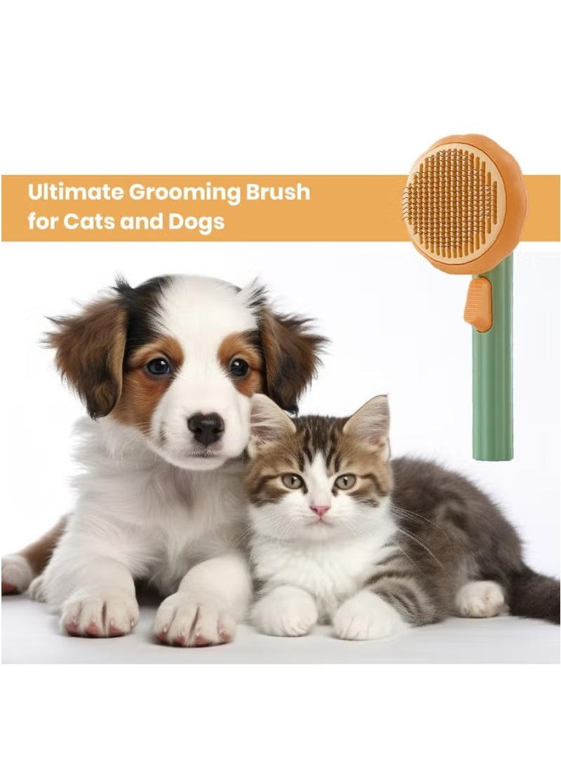 Delight Pet Brush for Grooming Pets