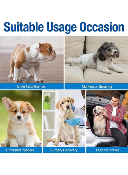Pet Soft Disposable Male Dog Wraps - 12 Pieces