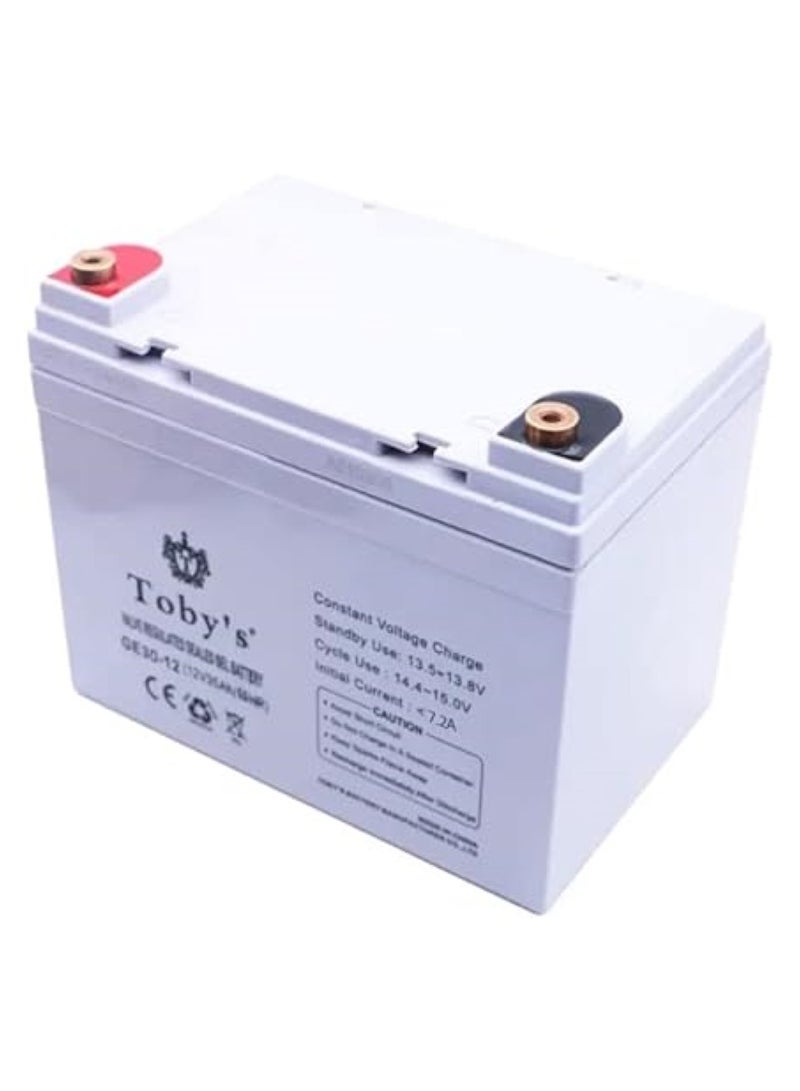 Toby's Power Inverter with Rechargeable Battery