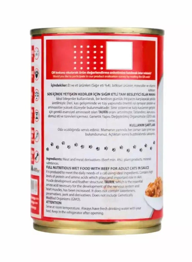 Energy Cat Food Adult With Beef In Gravy - Energy