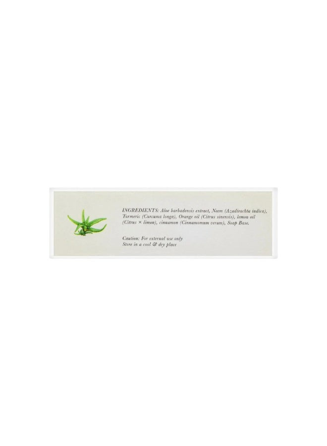 Luxury Handmade Soap with Aloe Vera - QAADU