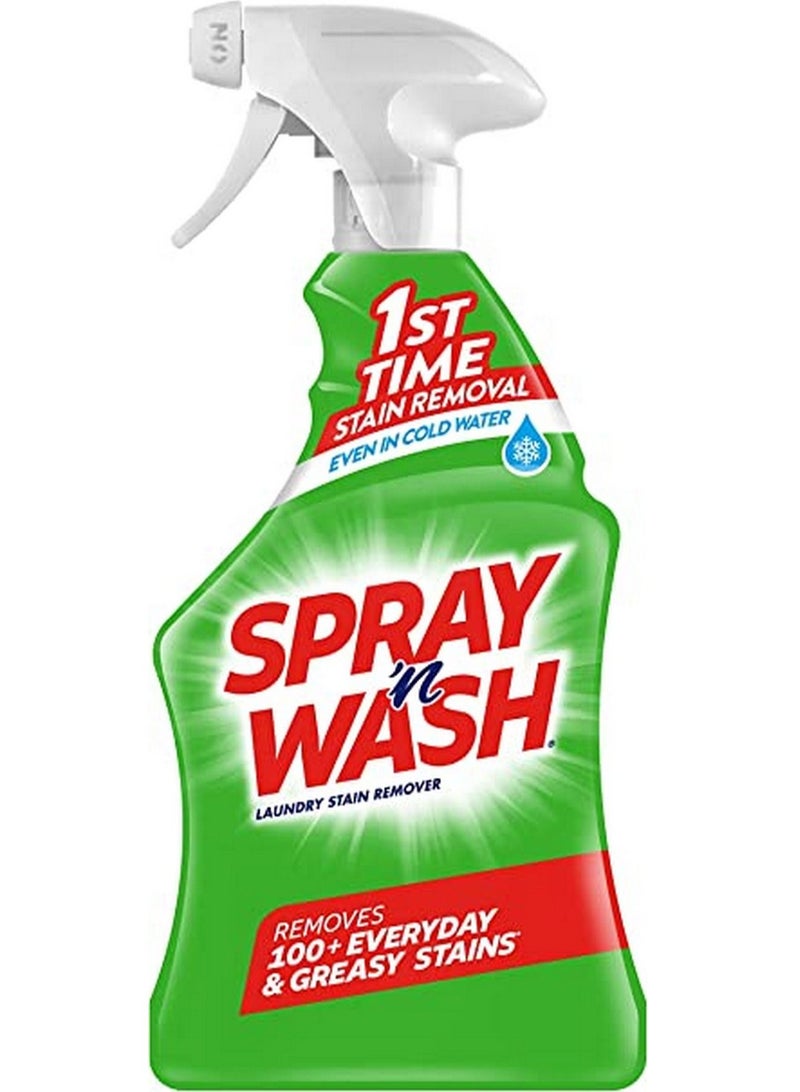 Spray'N Wash Pre-Treat Stain Remover 650 ml